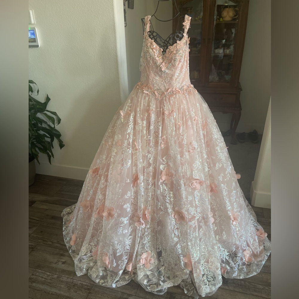 Beautiful Dress in Blush Pink Color with Butterflies and Silver Accents